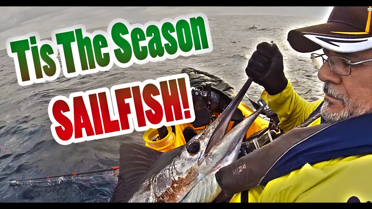 How To Catch A Sailfish From A Kayak