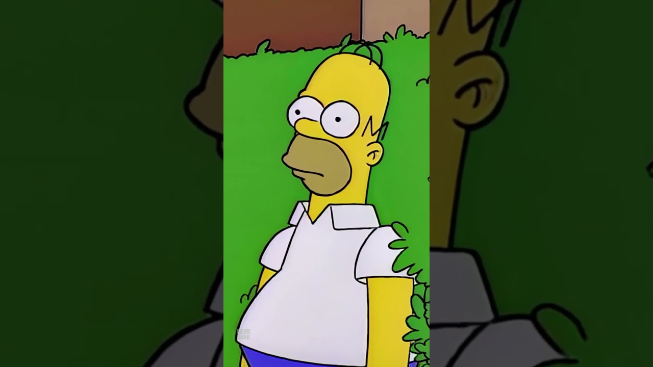 Homer Simpson Oh Ok Meme