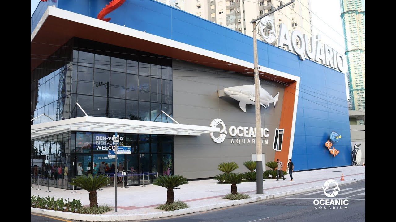 🎟️ Passaporte da Diversão (Parte 1): Mergulho Incrível no Oceanic Aquarium!