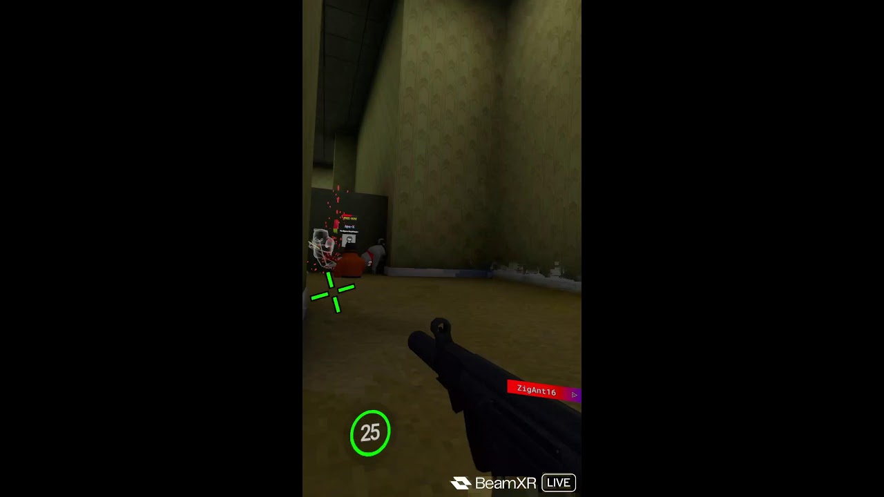 playing with viewers