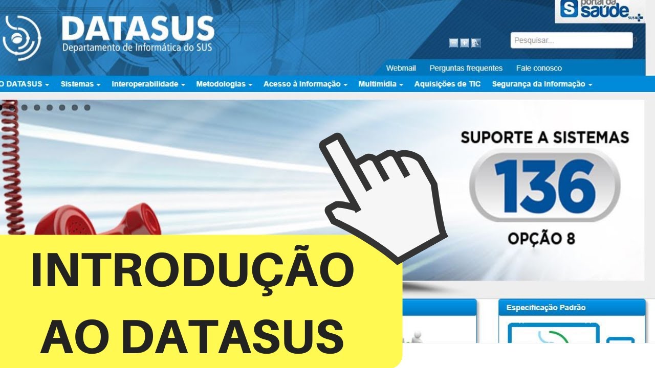 ENTENDENDO O DATASUS