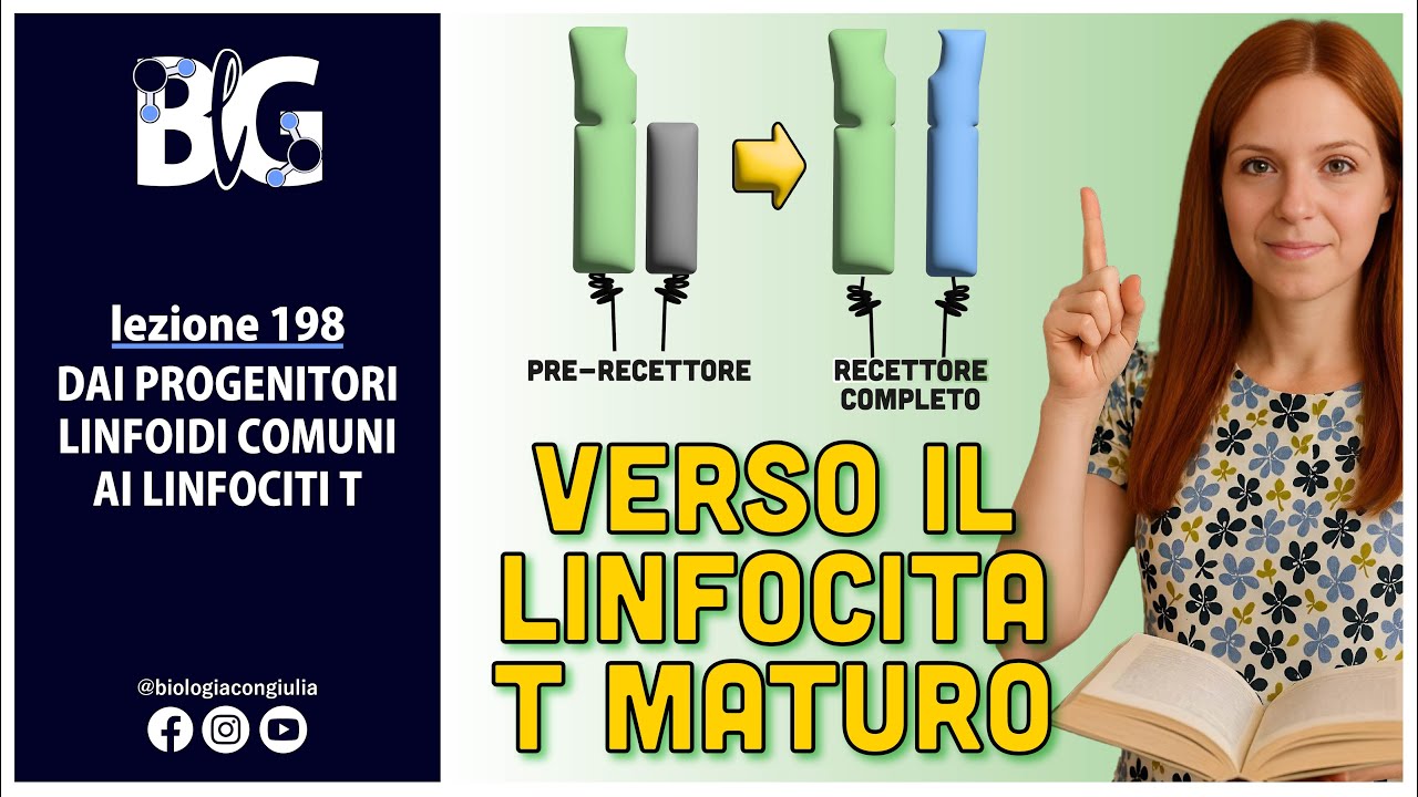 Dai PROGENITORI LINFOIDI COMUNI ai LINFOCITI T