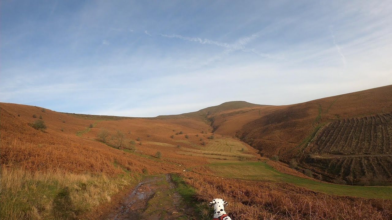 CANICROSS THE BRECON BEACONS - LLANBEDR LOOP (VIDEO 15)