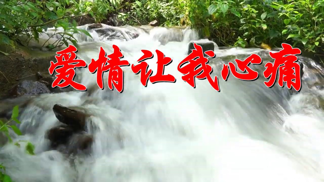 赵小南一首经典动感情歌《爱情让我心痛》好听又感人赶快分享吧！