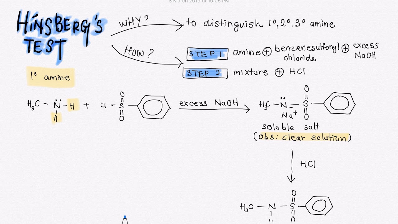 Amine: Hinsberg&rsquo;s Test