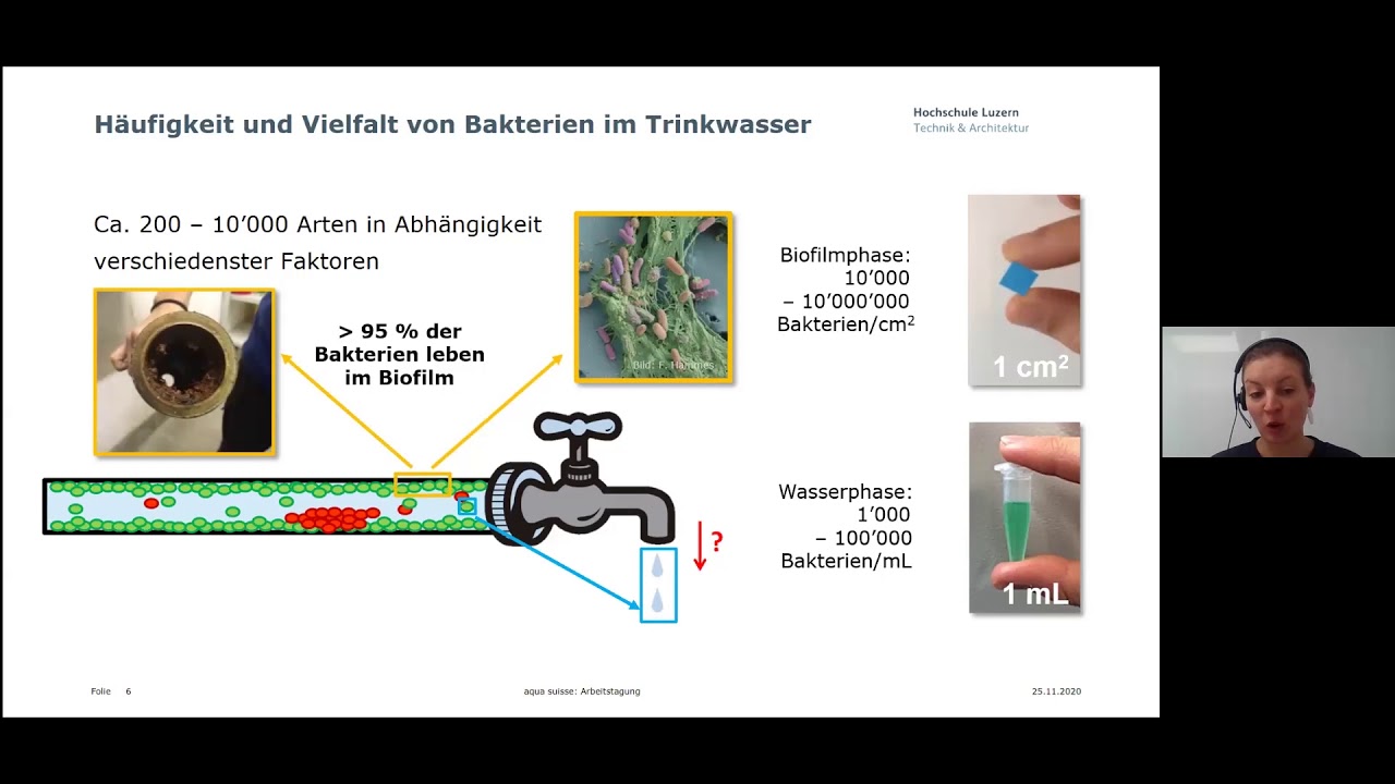 Bakterien im Trinkwasser - die unsichtbaren Untermieter - Franziska Rölli