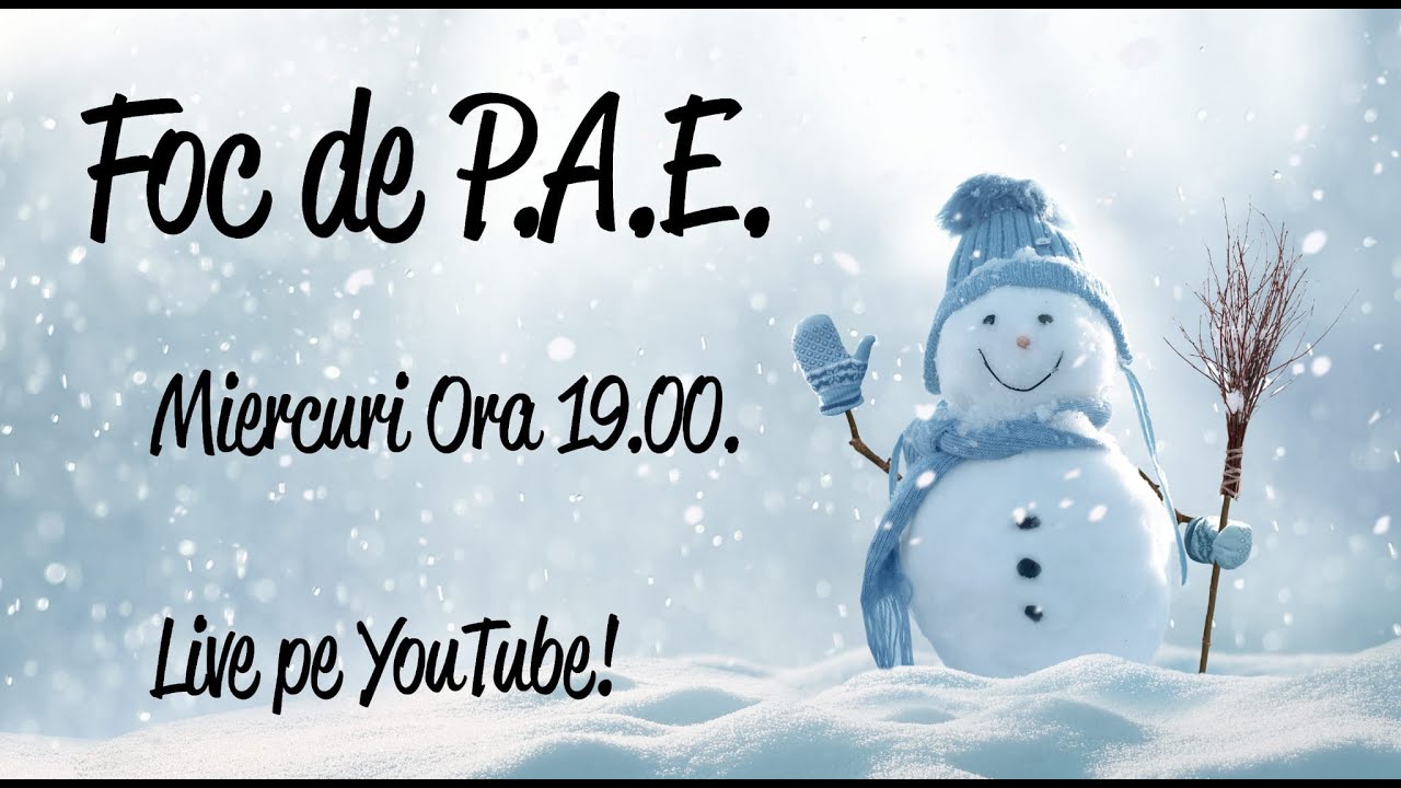 Plagiatul nu mai este furt?