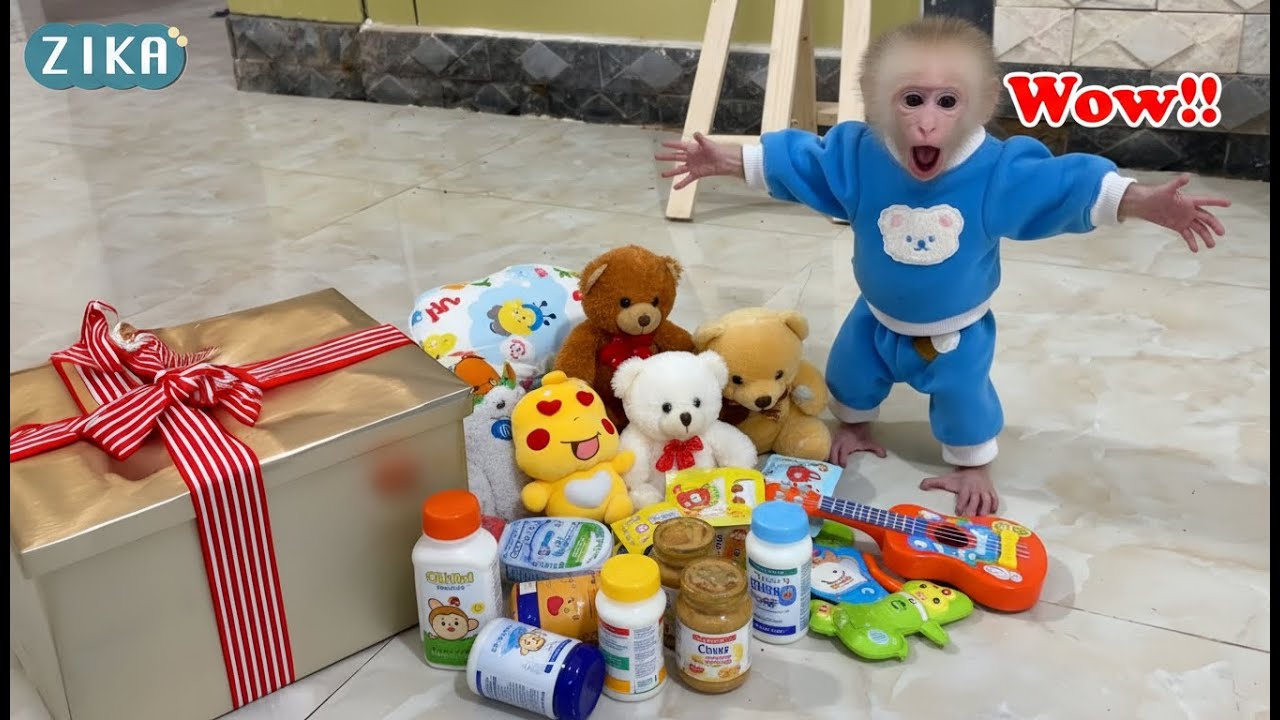 Зика очень рада получить особый подарок от госпожи Нико.