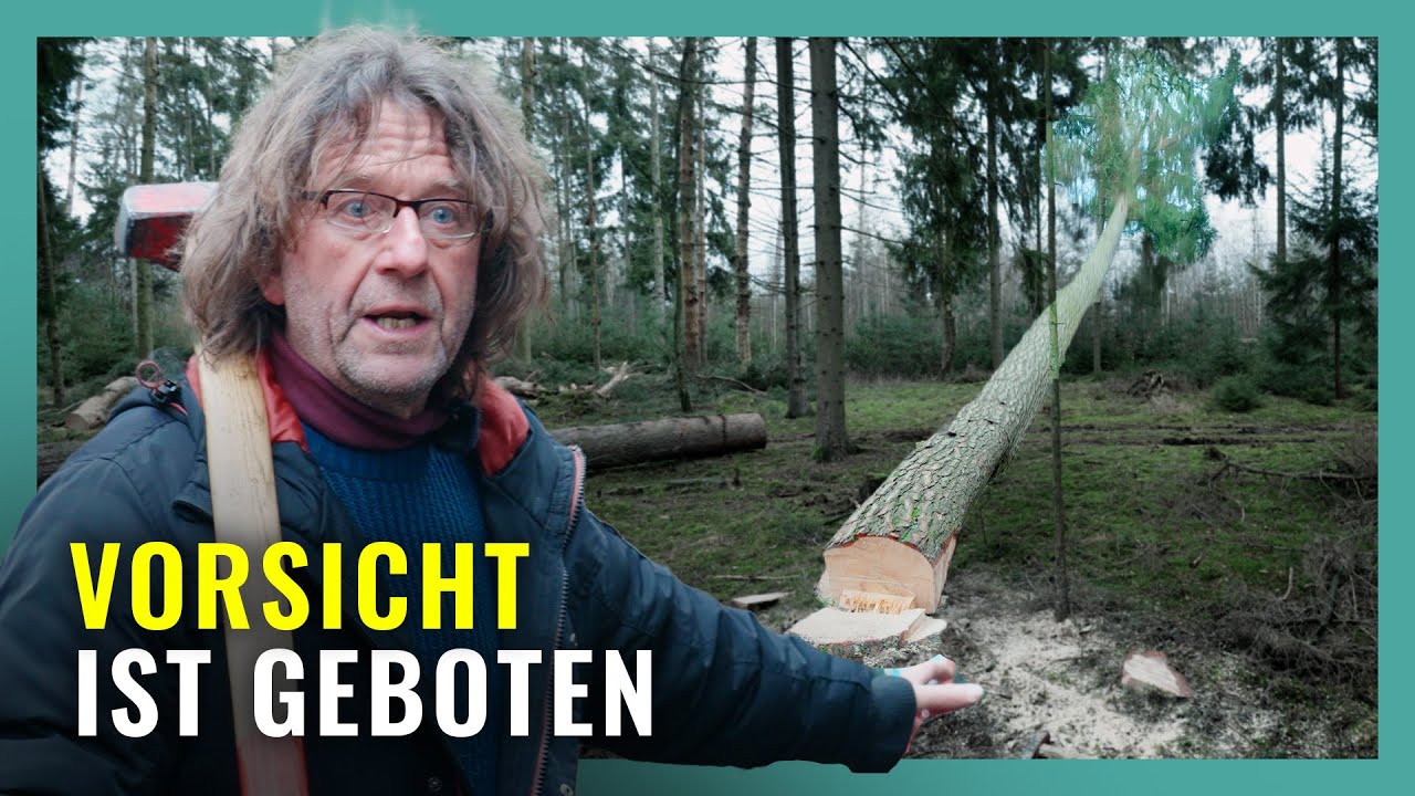 Ponyhof trifft Sägewerk - So verarbeiten wir unser eigenes Holz!