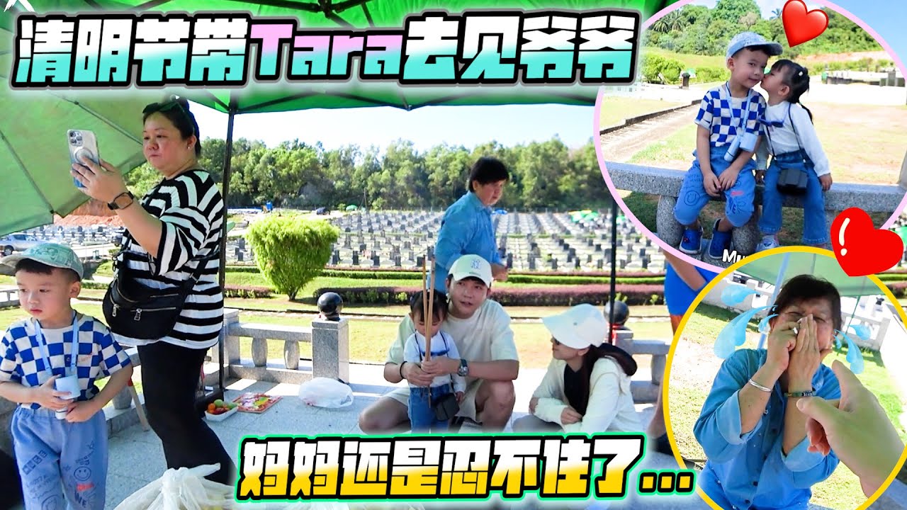 清明节带Tara去见爷爷，妈妈还是忍不住了～