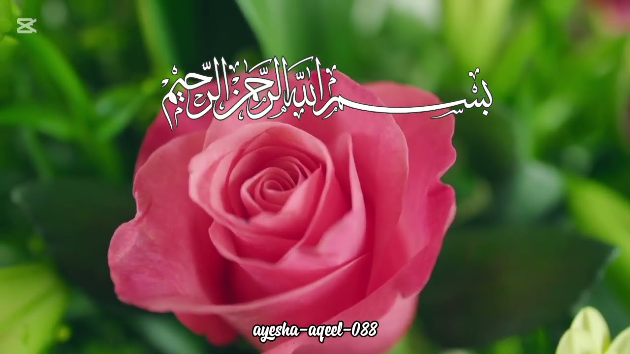 Surah Rehman Beautiful Talawat | New 2026 Beautiful Talawat | Islamic Video |