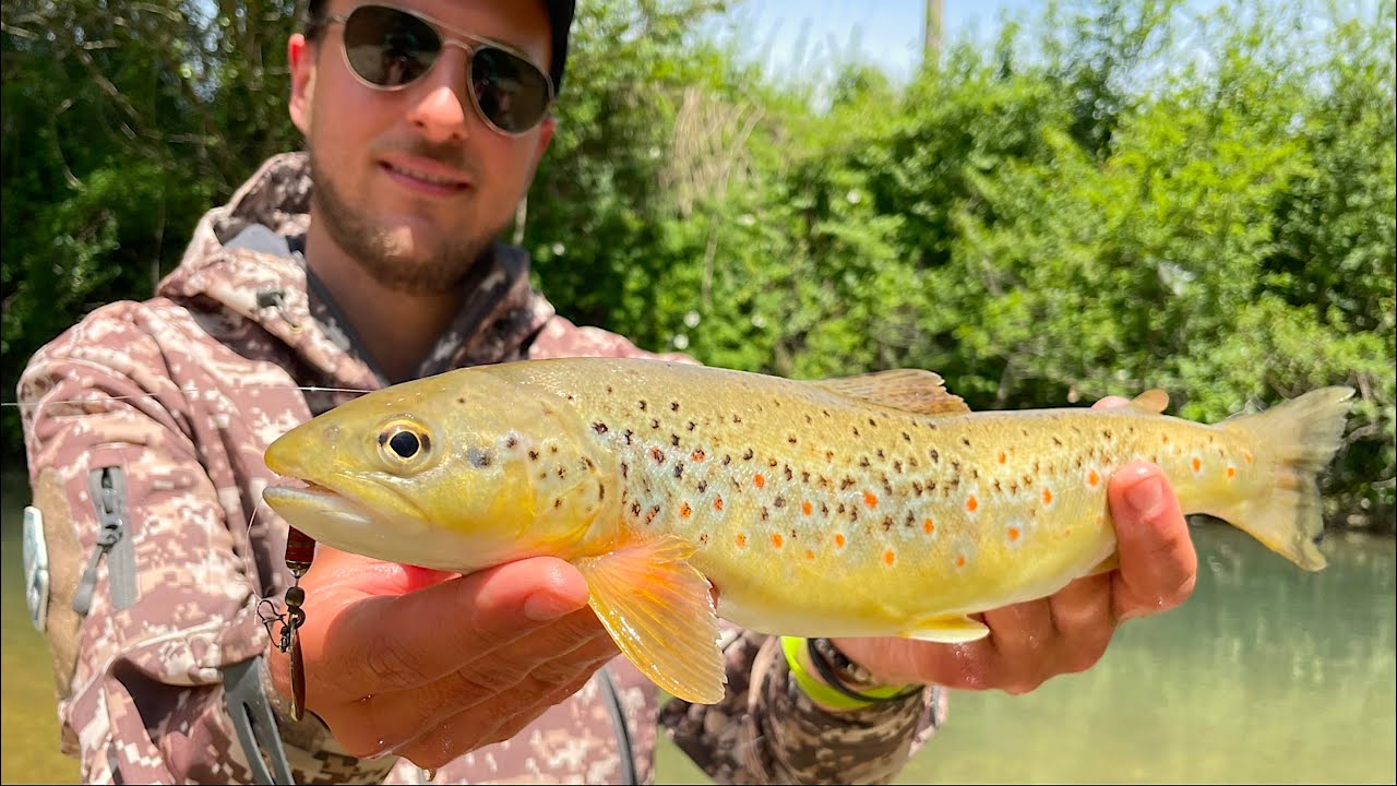 GIOIELLI DI TORRENTE! Trote Fario a Spinning con Rotanti & SpinFly IMMERSI nella Natura [PURO RELAX]