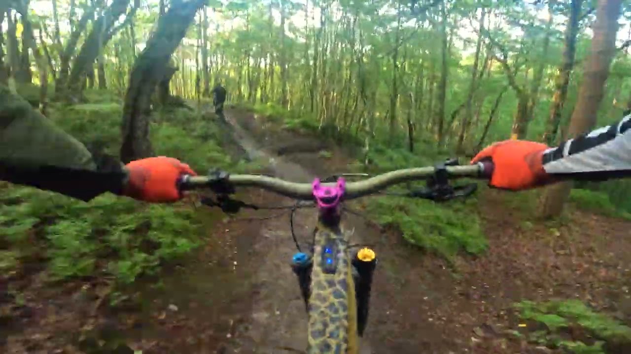 surrey hills peaselake mtb july 2025