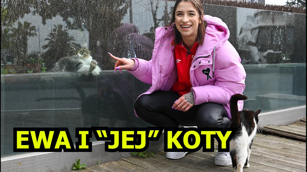 Swoboda W SIÓDMYM NIEBIE! Koci ŚWIAT w Stambule i pozytywne WSPOMNIENIA
