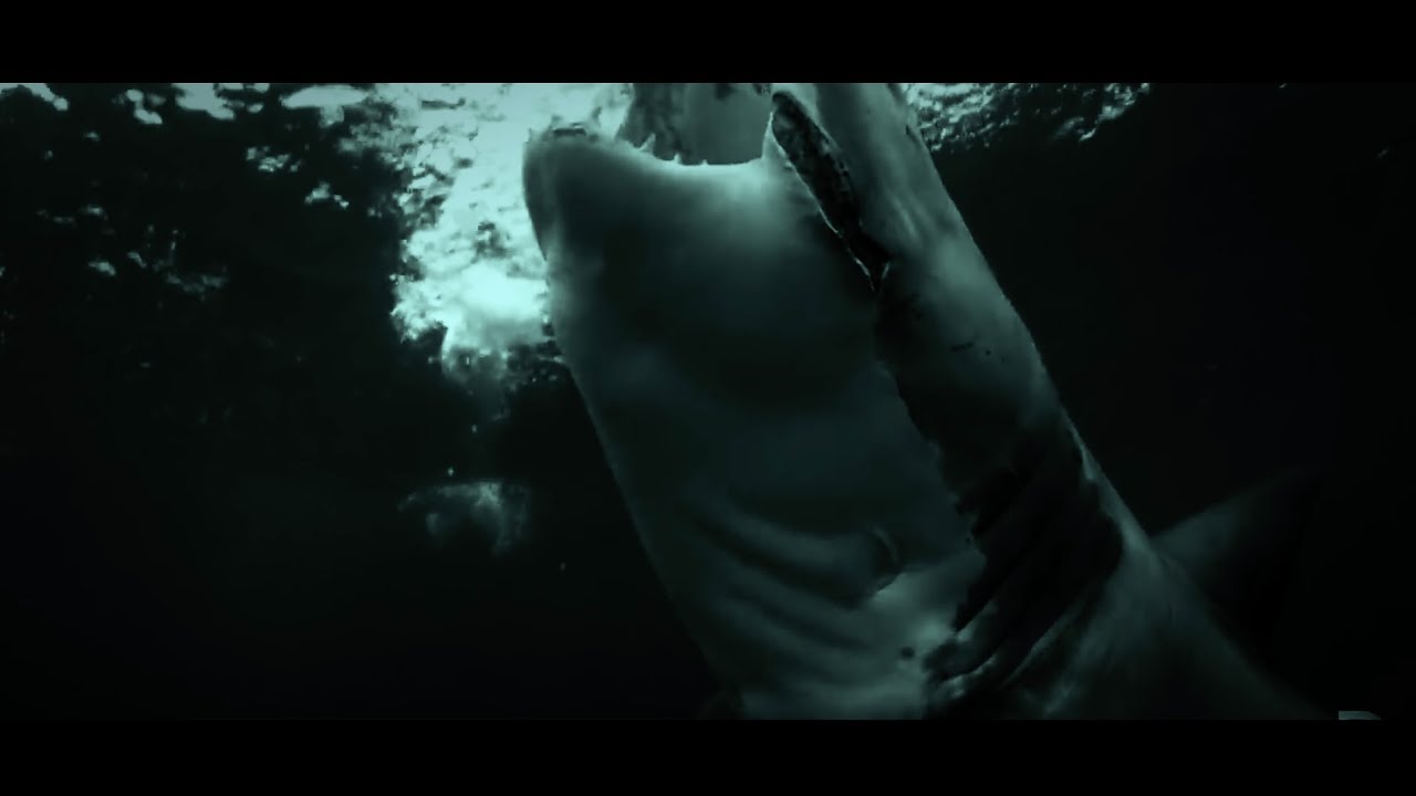 Thorium - My Decay (official video)