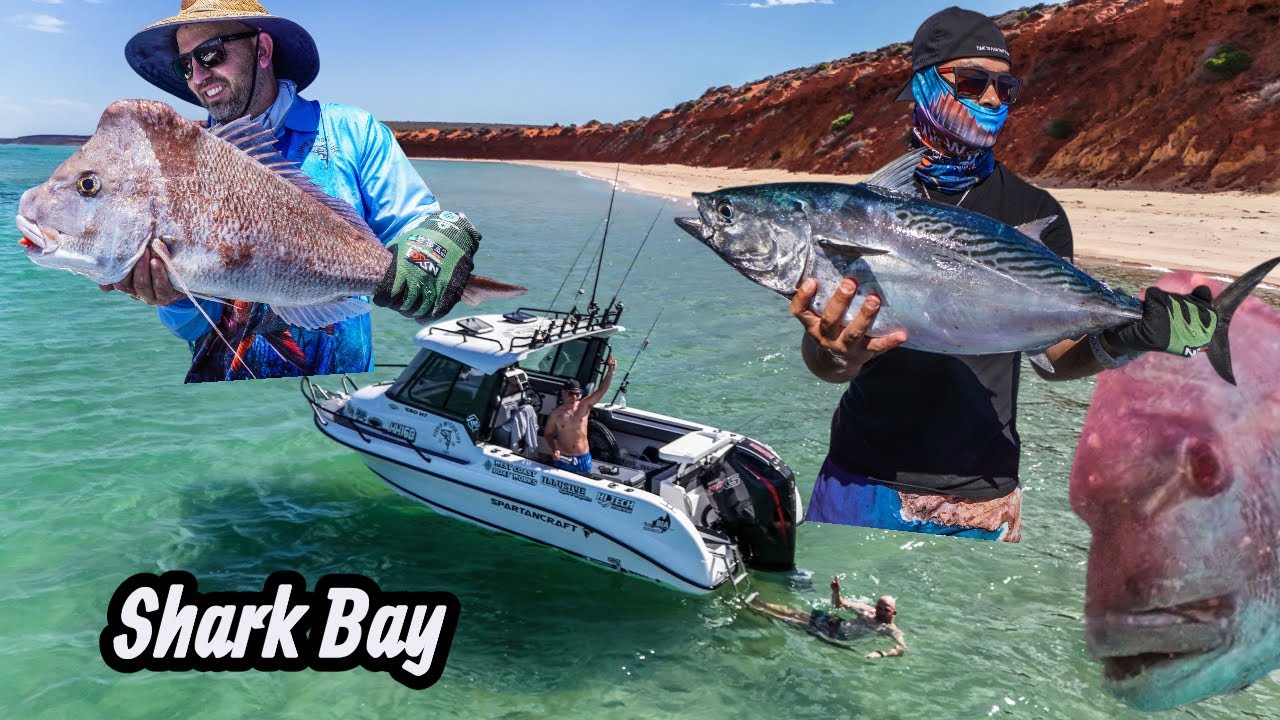 Shark Bay Fishing & Exploring Adventure | The return of FWL