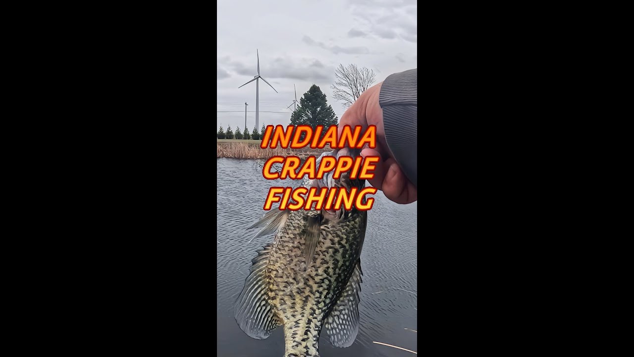 Winner is Crappie rod setup and fishing