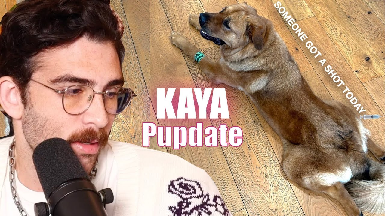 Hasan Takes Kaya To The Vet | HasanAbi Reacts