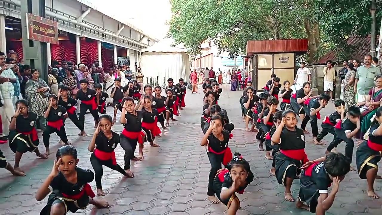 കളരിപയറ്റ് ഗുരുവായൂർ / kalaripayatt / guruvayur ulsavam 2026