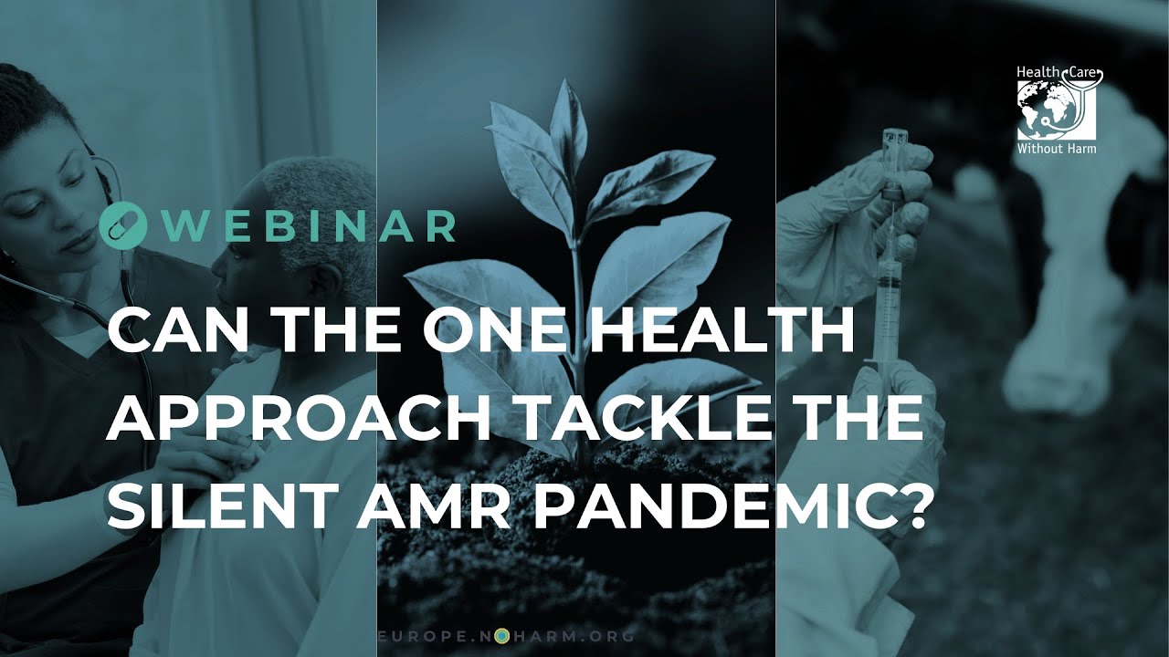 Can the One Health Approach Tackle the Silent AMR Pandemic?