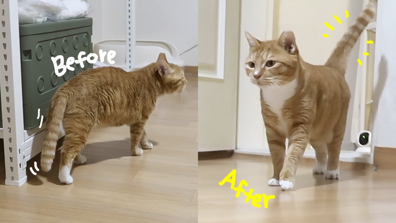 처음으로 수직꼬리 보여준 날