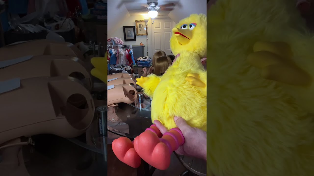 Unboxing and first impressions of Story Magic Big Bird from Ideal!