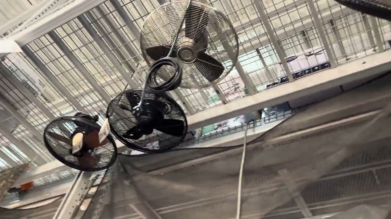 All Ceiling Fans + Floor Fans at Lowe’s [June 2025]