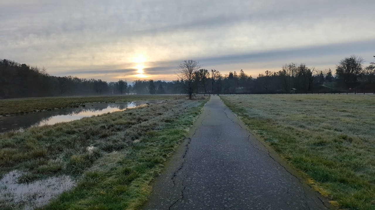 Champoeg State Park – Pre-Dawn Fog Lifting at Sunrise | Quiet Solo Walk