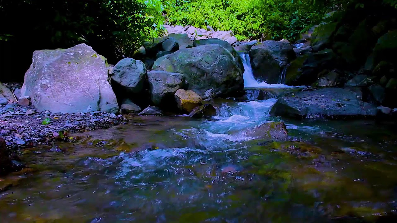 Quiet River Flowing Gently | Deep Sleep Soothing Nature White Noise