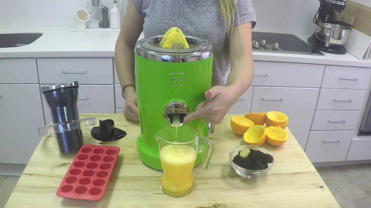 Novis Vita Juicer: Blackberry Orange Ginger Fizz