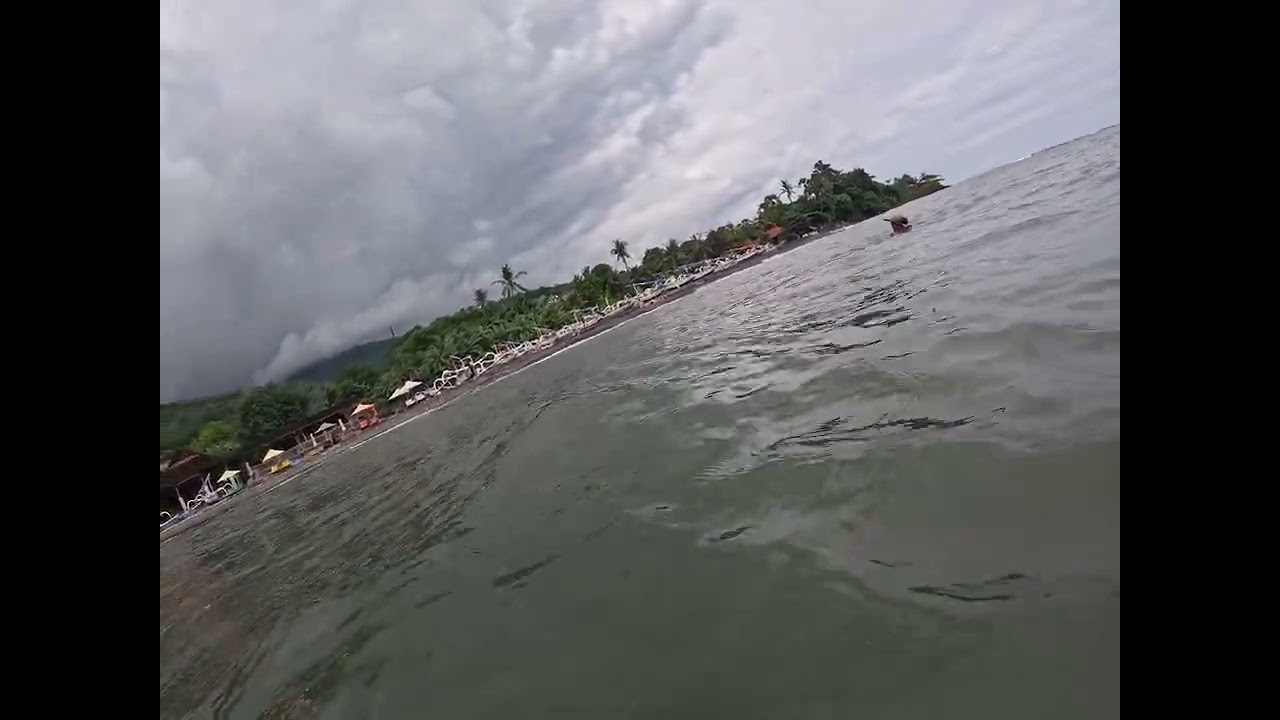 Going snorkeling and nothing. Only murky water