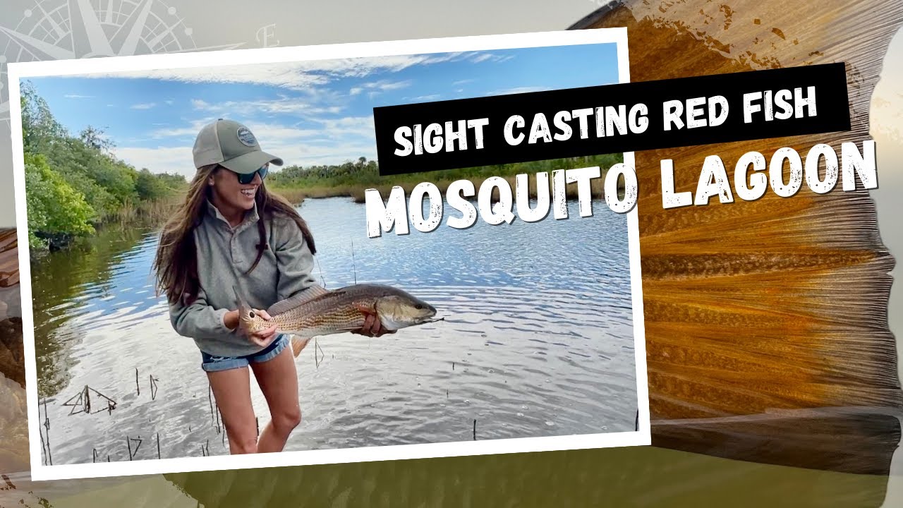 Wading for Redfish in a Skinny Creek Pays Off with My BEST Catch!