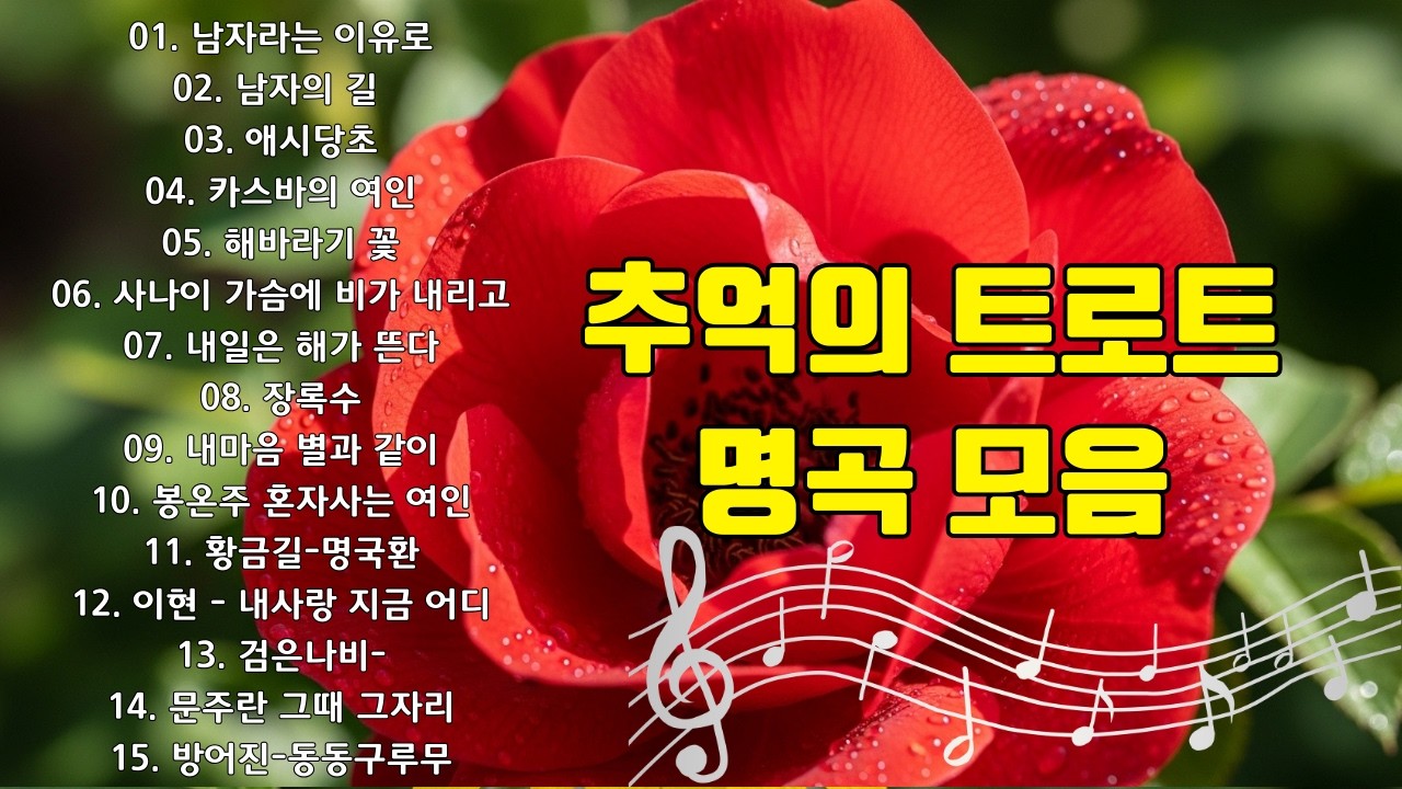 그때 그 시절 트로트 메들리 🍀 트로트메들리 - 술술 넘어가는 트로트메들리 - 하루 종일 들어도 좋은 노래 30곡모음