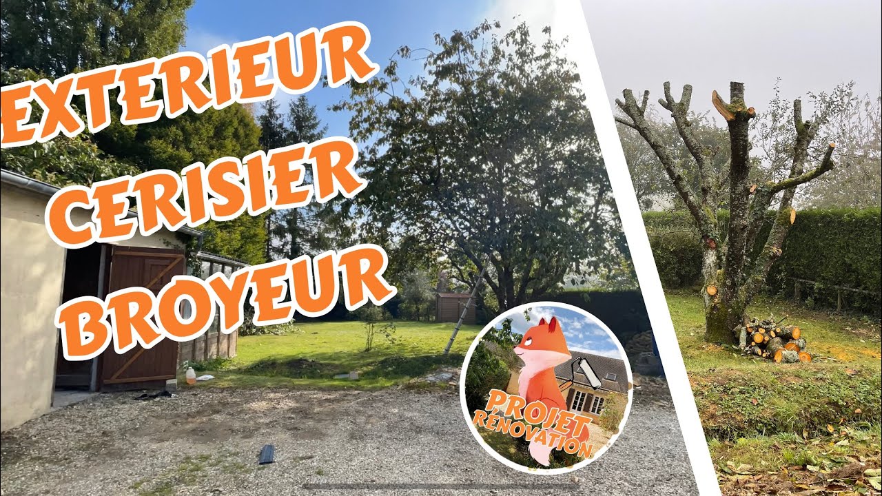 PROJET RENOVATION - EP 69 - TAILLE DU CERISIER !