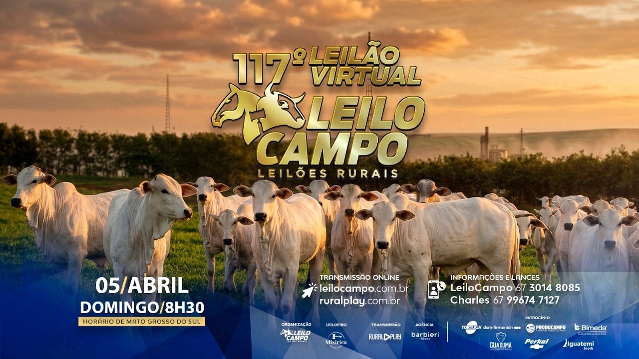 117&deg; LEIL&Atilde;O VIRTUAL LEILOCAMPO - RIO NEGRO/MS - RURAL PLAY