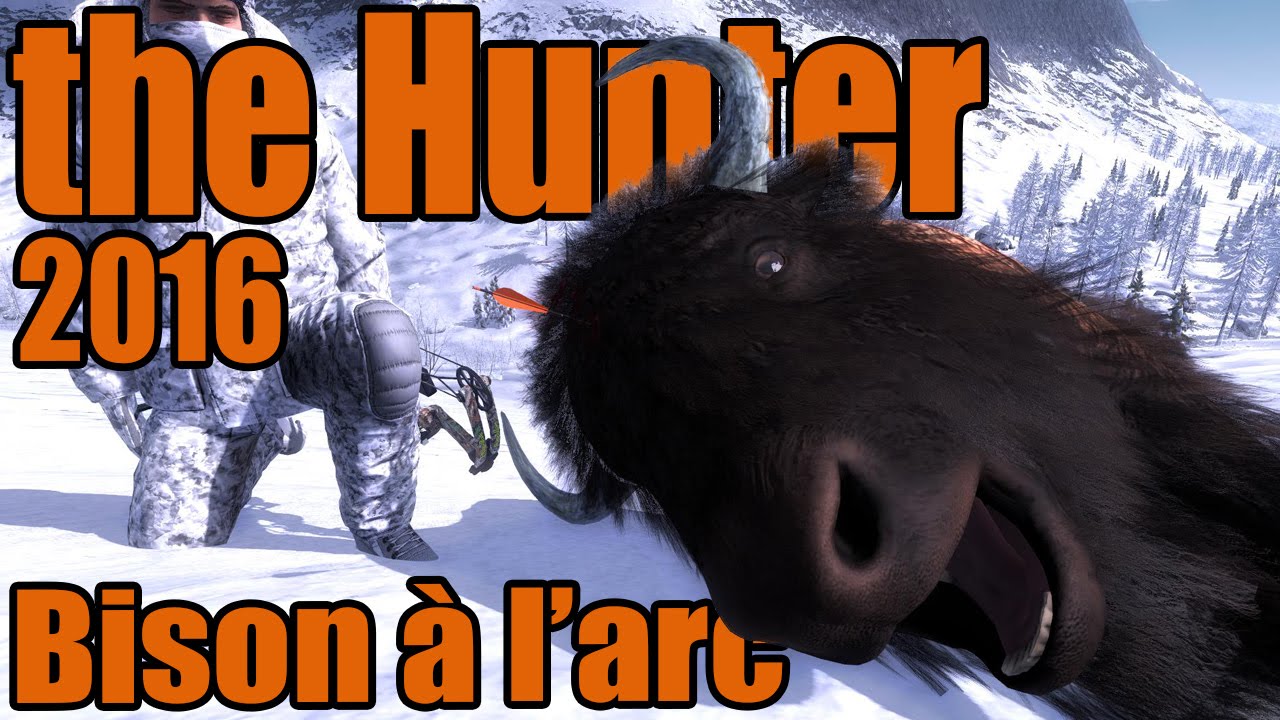 The Hunter - Chasse à l'arc Solo || Bisons & Élan ||