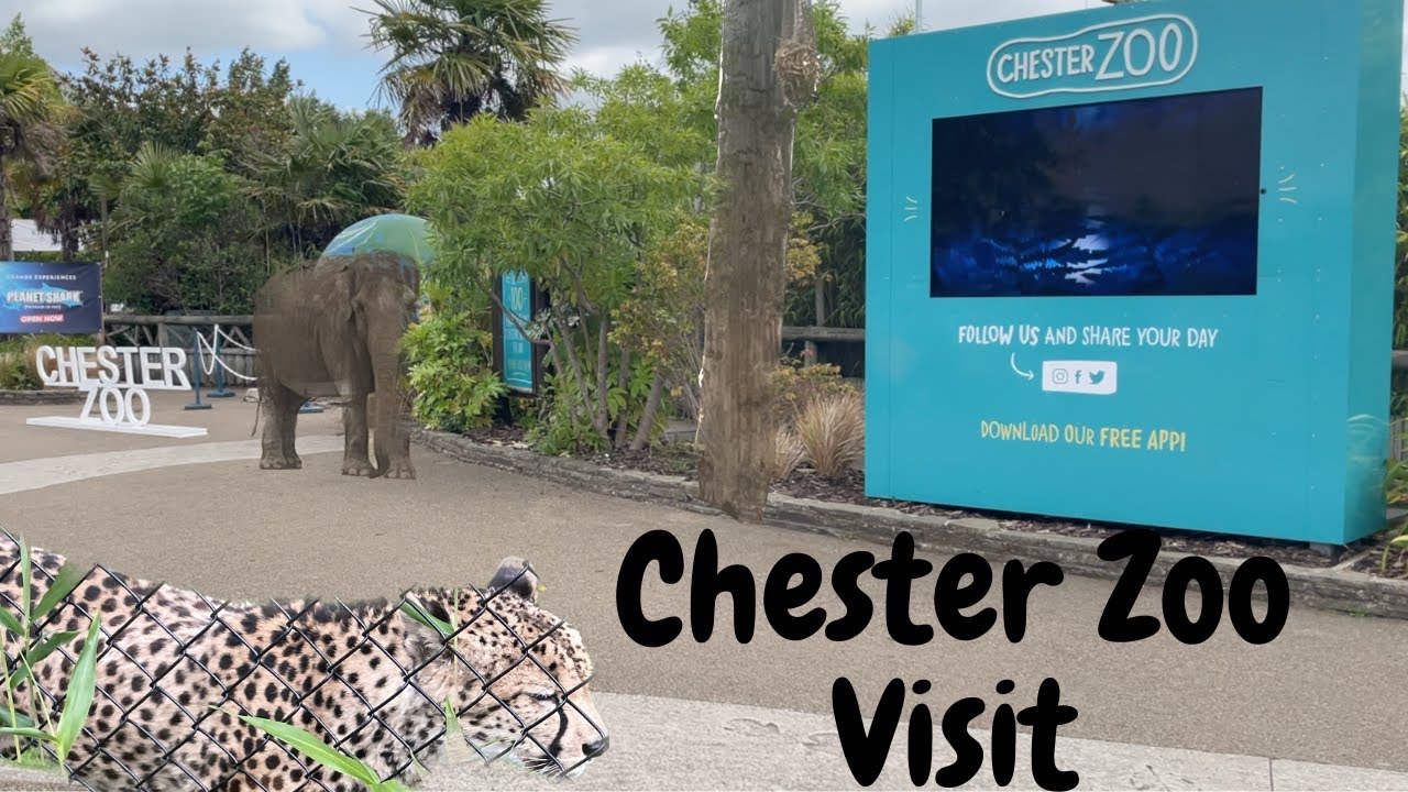 Chester Zoo Visit - 2023 New Quick Tour - A few surprises along the way!!