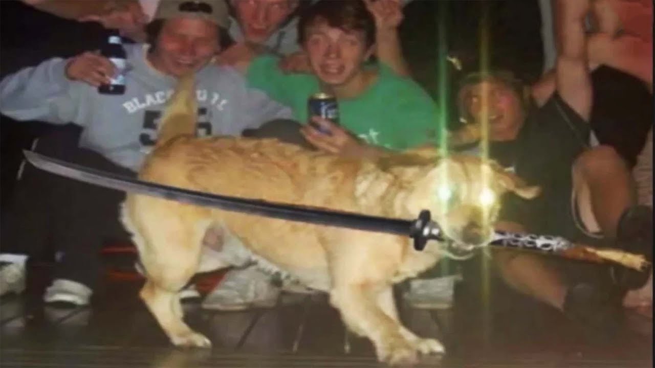 THE TOUGHEST OF r/BOSSFIGHT