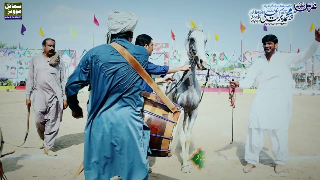 Horse dance ghoda Nach mukabala Mela kanjwani 456 