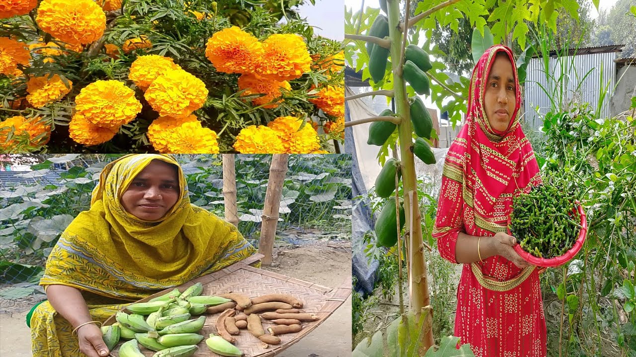 আজ এমন একটা রেসিপি রান্না করলাম কেউ চিনে থাকলে কমেন্ট করবেন#lamiyalifestyle 