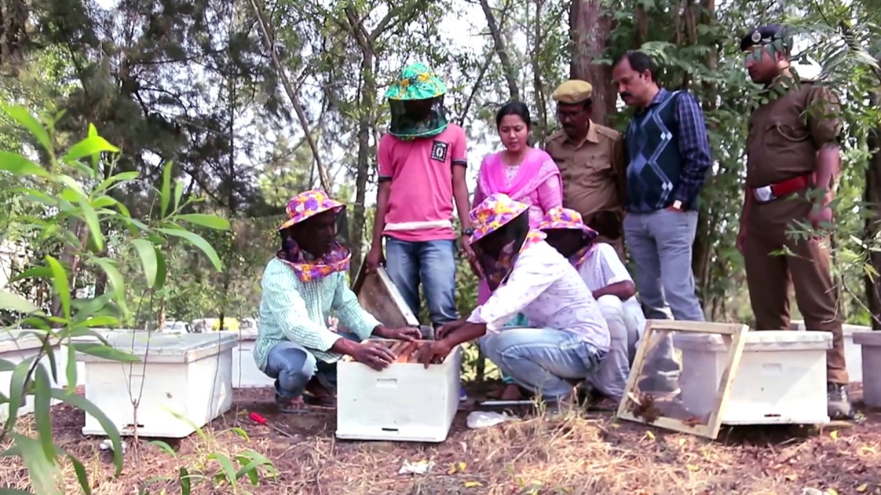 Bonphool - Pure Wild Mangrove Honey