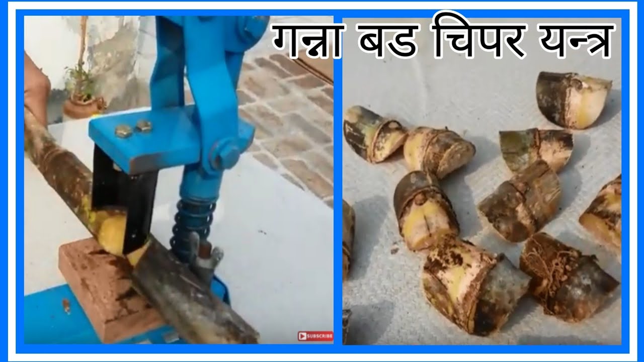 Sugarcane Bud Chipper गन्ने की आँख निकालने की मशीन {Unboxing and Application} by Devendra Singh