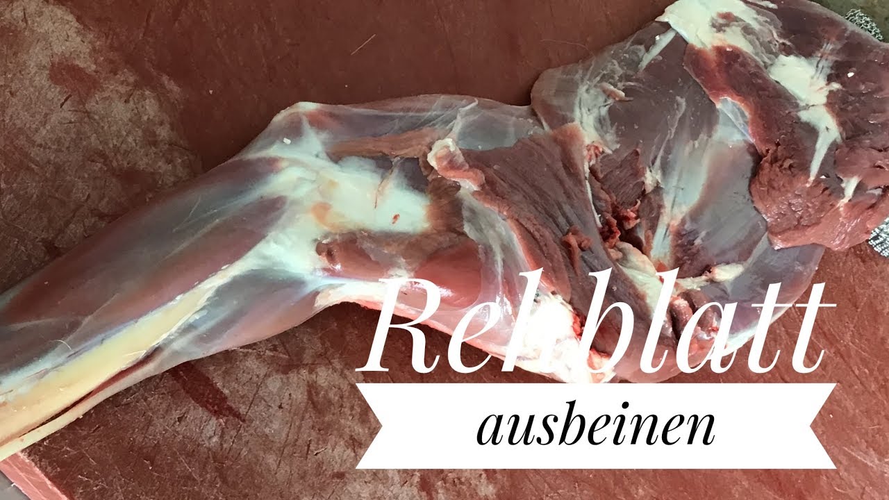 Rehblatt ausl&ouml;sen in einer Minute