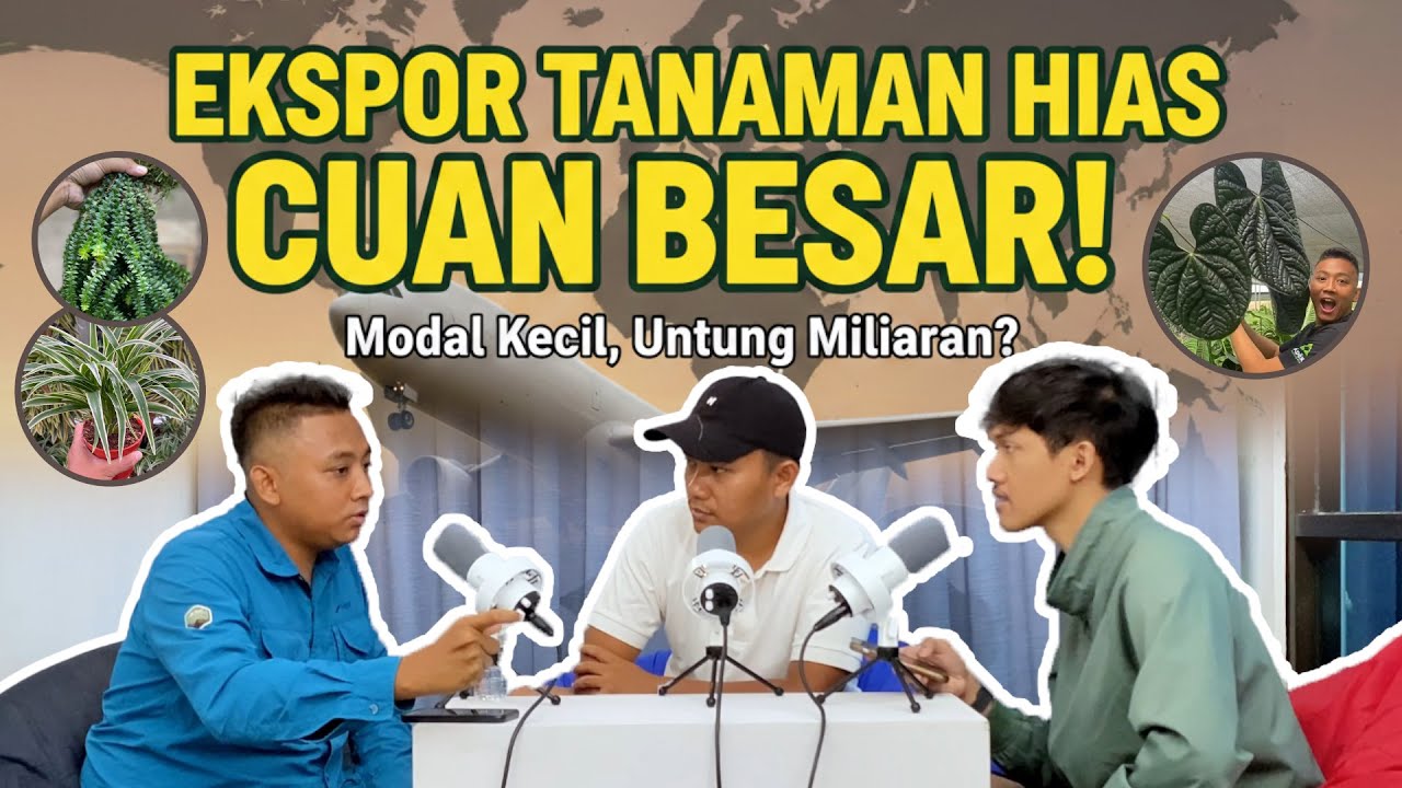 CUAN & CERITA EPS.2 - Cerita Sukses Ekportir Tanaman Hias ke Mancanegara