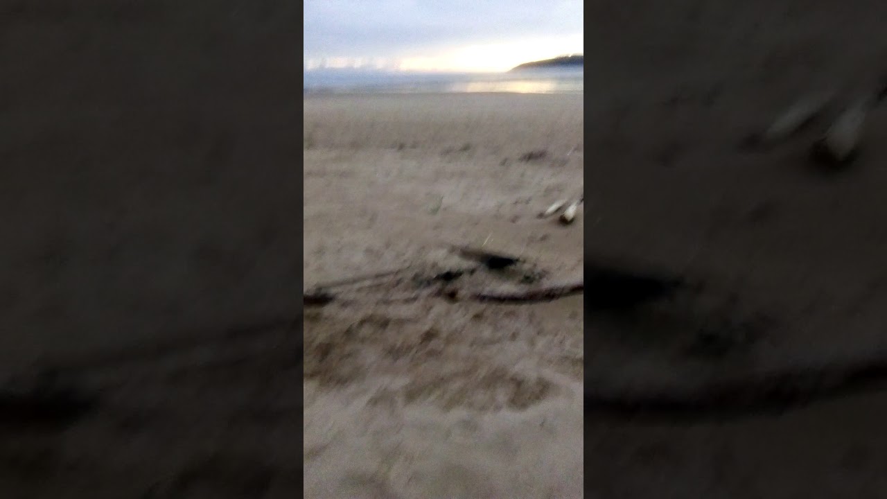 Oxwich 4