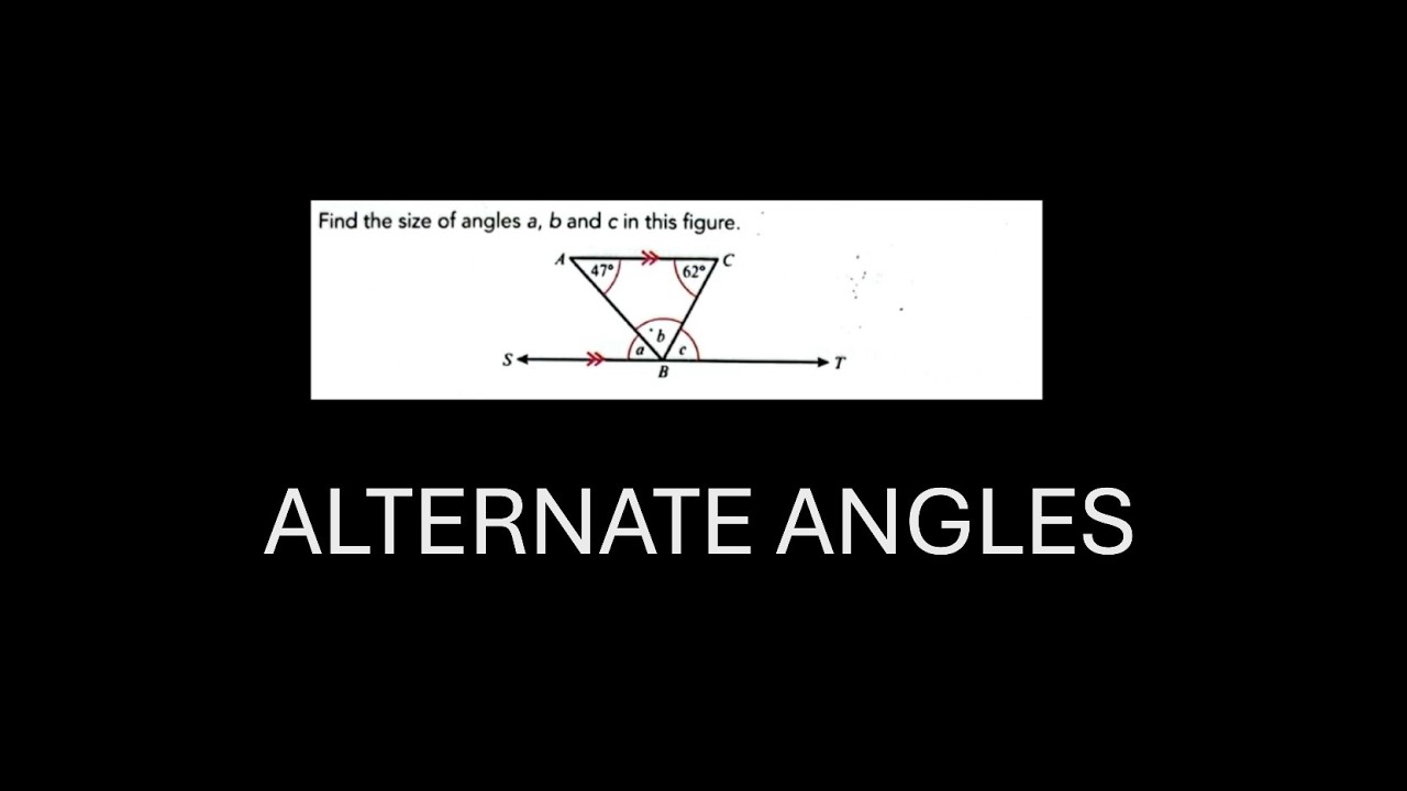 Alternate Angles _ Practice Question