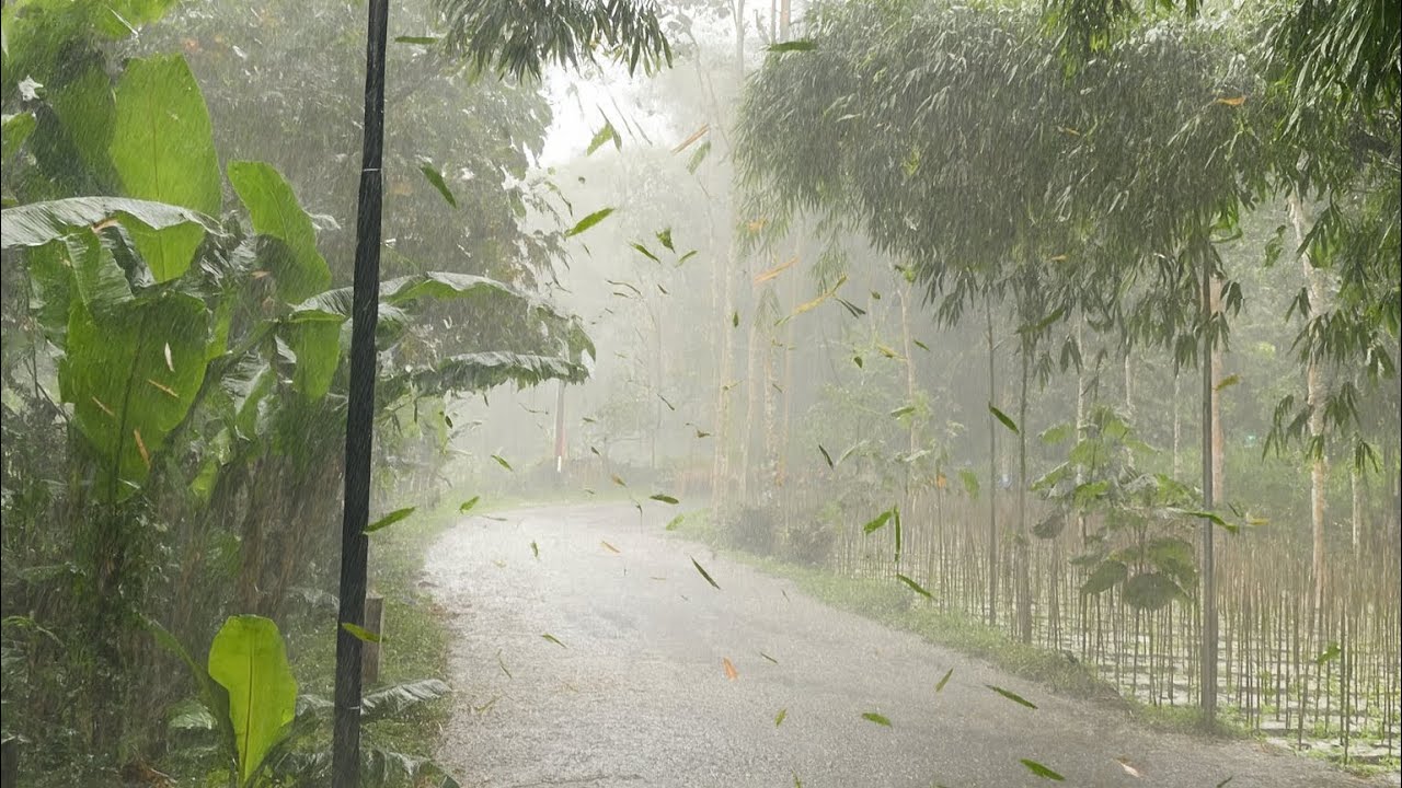 Rainstorm Walk Indonesia Village - Heavy Rain and Thunderstorm Sounds For Sleeping.