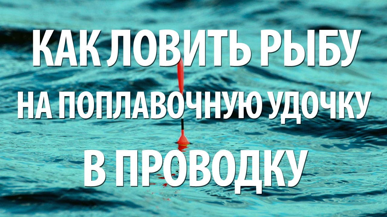 РЫБАЛКА в ПРОВОДКУ на ПОПЛАВОЧНУЮ УДОЧКУ для НАЧИНАЮЩИХ