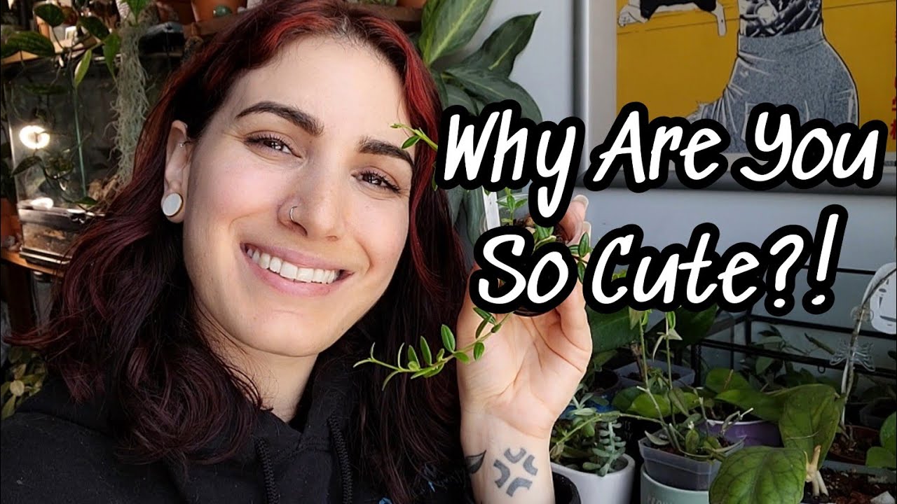 Smallest & Cutest Plant Leaves 🌱 top 7 favorite tiny leafed plants in my collection ☺️