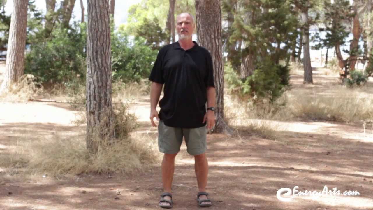 Building And Balancing Your Qi With Standing Practices